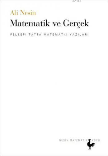 Matematik ve Gerçek; Felsefi Tatta Matematik Yazıları | Ali Nesin | Ne