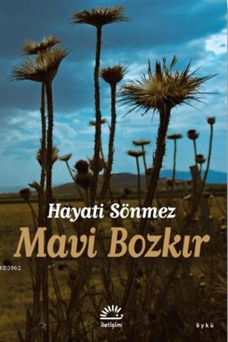 Mavi Bozkır | Hayati Sönmez | İletişim Yayınları