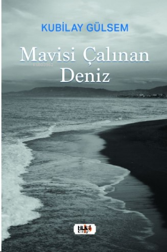 Mavisi Çalınan Deniz | Kubilay Gülsem | Tilki Kitap