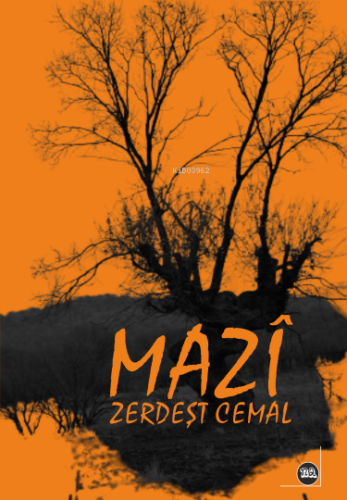 Mazî | Zerdeşt Cemal | Na Yayınları / Weşanen Na