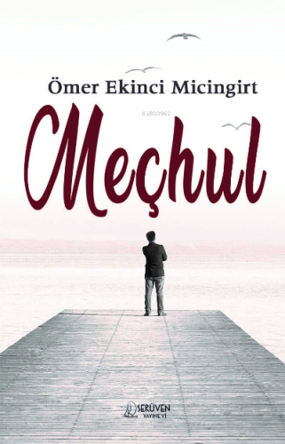 Meçhul | Ömer Ekinci Micingirt | Serüven Yayınları