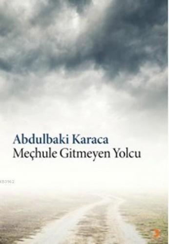 Meçhule Gitmeyen Yolcu | Abdulbaki Karaca | Cinius Yayınları