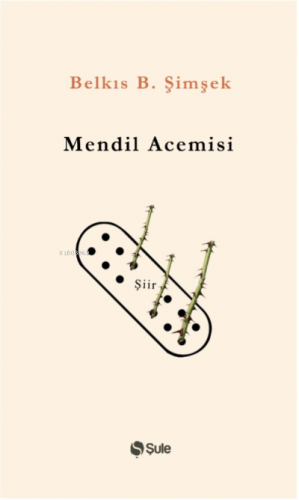 Mendil Acemisi | Belkıs B. Şimşek | Şule Yayınları