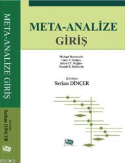 Meta - Analize Giriş | Hannah R. Rothstein | Anı Yayıncılık