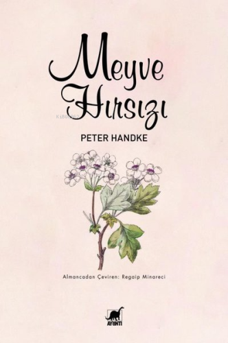 Meyve Hırsızı | Peter Handke | Ayrıntı Yayınları