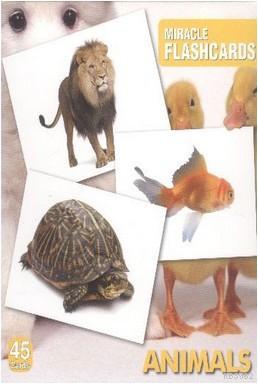 Miracle FlashCards| Animals; 45 Cards | | MK Publications