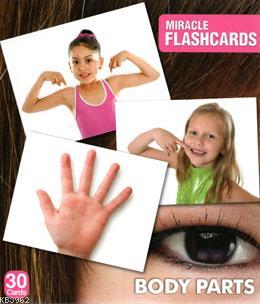 Miracle Flashcards Body Parts | | MK Publications