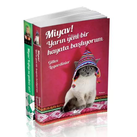 Miyav! Yarın Yeni Bir Hayata Başlıyorum + Miyav! Kafayı Mı Yedini | Gi