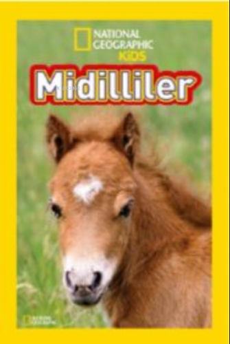 National Geographic Kids Midilliler | Laura Marsh | Beta Kids