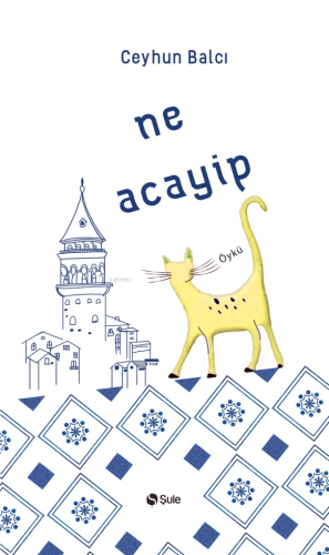 Ne Acayip | Ceyhun Balcı | Şule Yayınları