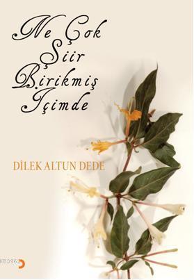 Ne Çok Şiir Birikmiş İçimde | Dilek Altun Dede | Cinius Yayınları