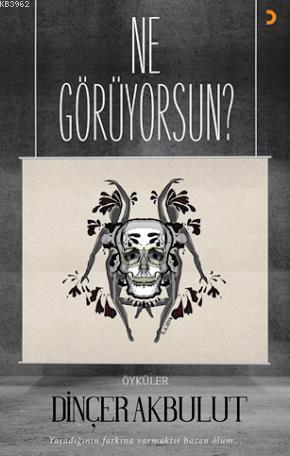 Ne Görüyorsun? | Dinçer Akbulut | Cinius Yayınları