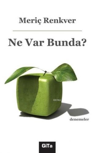 Ne Var Bunda? | Meriç Renkver | Gita Yayınları