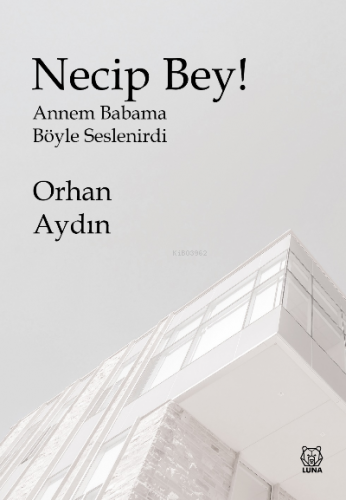 Necip Bey! | Orhan Aydın | Luna Yayınları