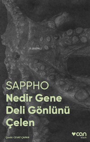 Nedir Gene Deli Gönlünü Çelen (Fotoğraflı Klasikler) | Sappho | Can Ya