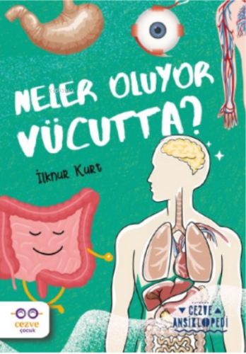 Neler Oluyor Vücutta ? ;Cezve Ansiklopedi | İlknur Kurt | Cezve Çocuk