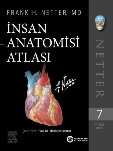 Netter İnsan Anatomisi Atlası 7. Baskı | Frank H. Netter | Güneş Tıp K