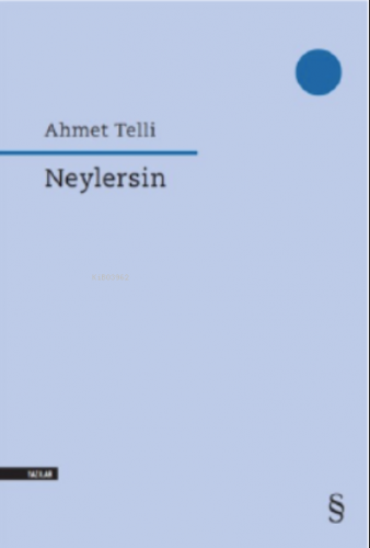 Neylersin | Ahmet Telli | Everest Yayınları