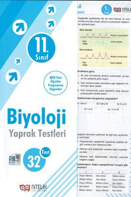 Nitelik - 11. Sınıf Biyoloji Yaprak Testleri | Kolektif | Nitelik Yayı