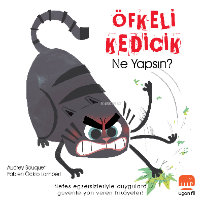 Öfkeli Kedicik Ne Yapsın? | Audrey Bouquet | Uçan Fil Yayınları