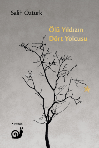 Ölü Yıldızın Dört Yolcusu | Salih Öztürk | Sakin Kitap