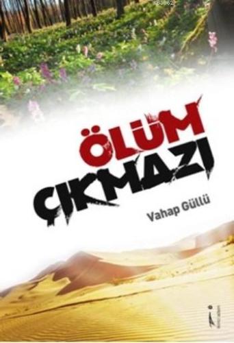 Ölüm Çıkmazı | Vahap Güllü | İkinci Adam Yayınları