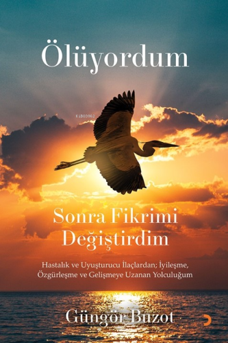 Ölüyordum Sonra Fikrimi Değiştirdim;Hastalık ve Uyuşturucu İlaçlardan;