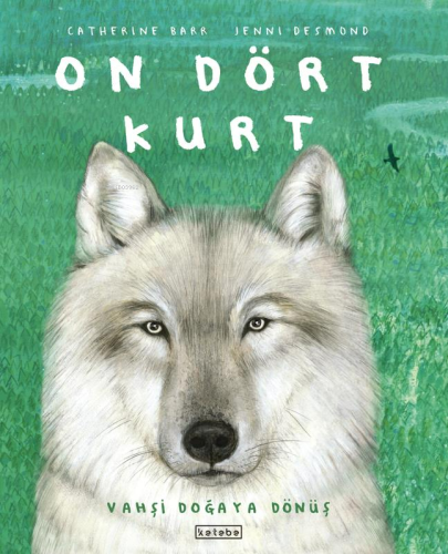 On Dört Kurt | Jenni Desmond | Ketebe Çocuk