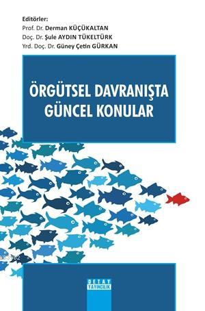 Örgütsel Davranışta Güncel Konular | Derman Küçükaltan | Detay Yayıncı