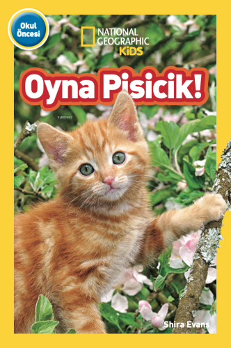 Oyna Pisicik | Shira Evans | Beta Kids