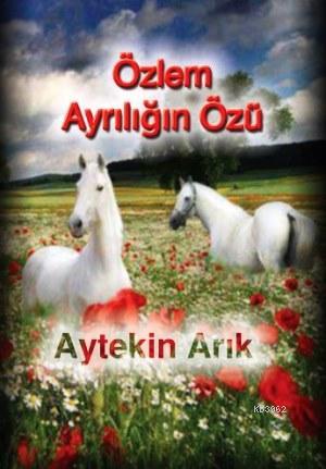 Özlem Ayrılığın Özü | Aytekin Arık | İnsancıl Yayınları