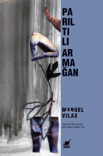 Parıltılı Armağan | Manuel Vilas | Ayrıntı Yayınları