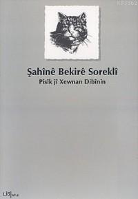 Pisîk Jî Xewnan Dibînin | Şahînê Bekirê Soreklî | Lis Basın Yayın