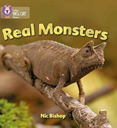 Real Monsters (Big Cat Phonics-3 Yellow) | Nic Bishop | Harper Collins