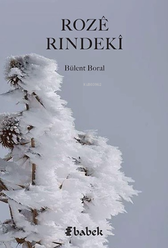 Rozi Rindeki | Bülent Boral | Babek Yayınları