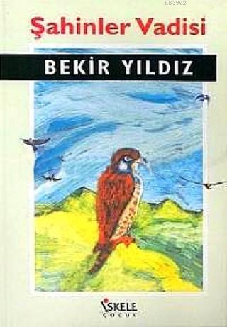 Şahinler Vadisi | Bekir Yıldız | İskele Yayınları