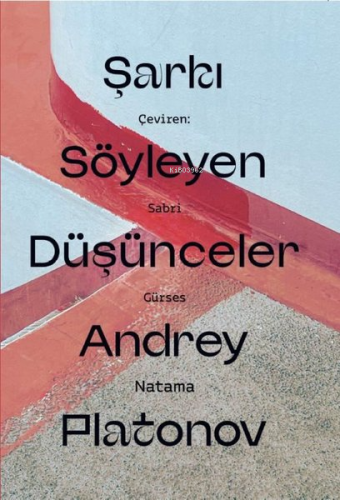 Şarkı Söyleyen Düşünceler | Andrey Platonov | Natama Yayınları