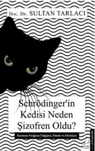 Schrödinger'in Kedisi Neden Şizofren Oldu? | Sultan Tarlacı | Destek Y