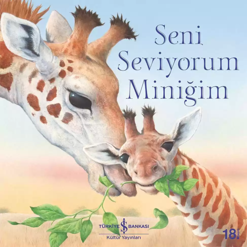 Seni Seviyorum Miniğim; İçeride Serüven Var! | Ronne Randall | Türkiye