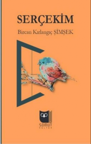 Serçekim | Bircan Kırlangıç Şimşek | Somut Yayınları