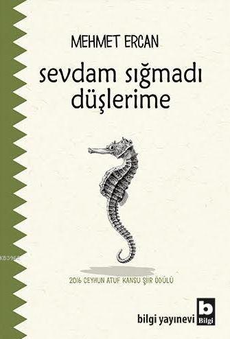 Sevdam Sığmadı Düşlerime | Mehmet Ercan | Bilgi Yayınevi