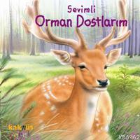 Sevimli Orman Dostlarım (0-5 Yaş) | Philippe Salembier | Kaknüs Yayınl