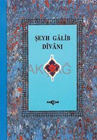 Şeyh Galib Divanı 1.hmr Ciltli | Muhsin Kalkışım | Akçağ Basım Yayım P