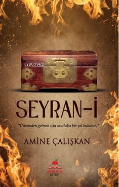 Seyran-i ;Üstesinden Gelmek İçin Mutlaka Bir Yol Bulunur | Amine Çalış