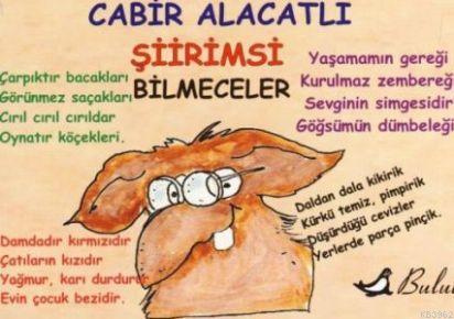 Şiirimsi Bilmeceler; Mizah Dizisi | Cabir Alacatlı | Bulut Yayınları