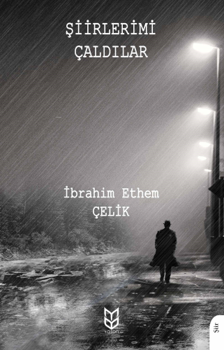 Şiirlerimi Çaldılar | İbrahim Ethem Çelik | Yason Yayınları