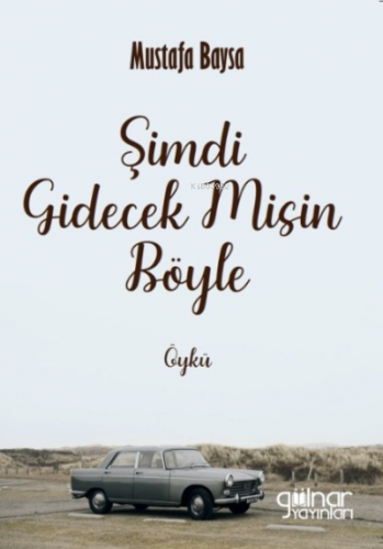 Şimdi Gidecek Misin Böyle | Mustafa Baysa | Gülnar Yayınları