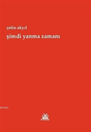 Şimdi Yanma Zamanı | Çetin Akyıl | Artshop Yayıncılık