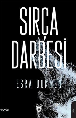 Sırça Darbesi | Esra Özlem Dökmen | Dorlion Yayınevi