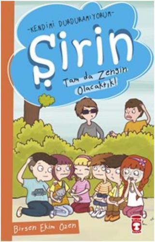 Şirin - Tam da Zengin Olacaktık! | Birsen Ekim Özen | Timaş Çocuk